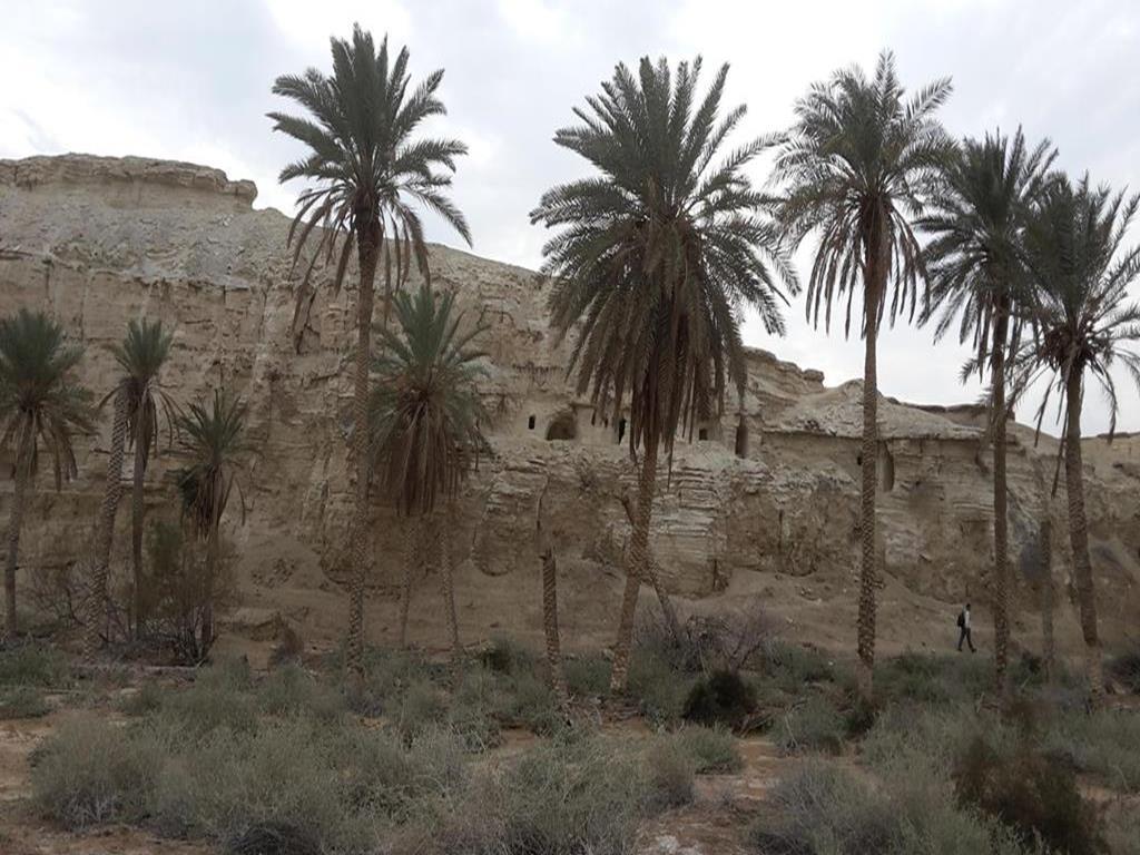 The Laura - Byzantine Monks cells in the Judean desert