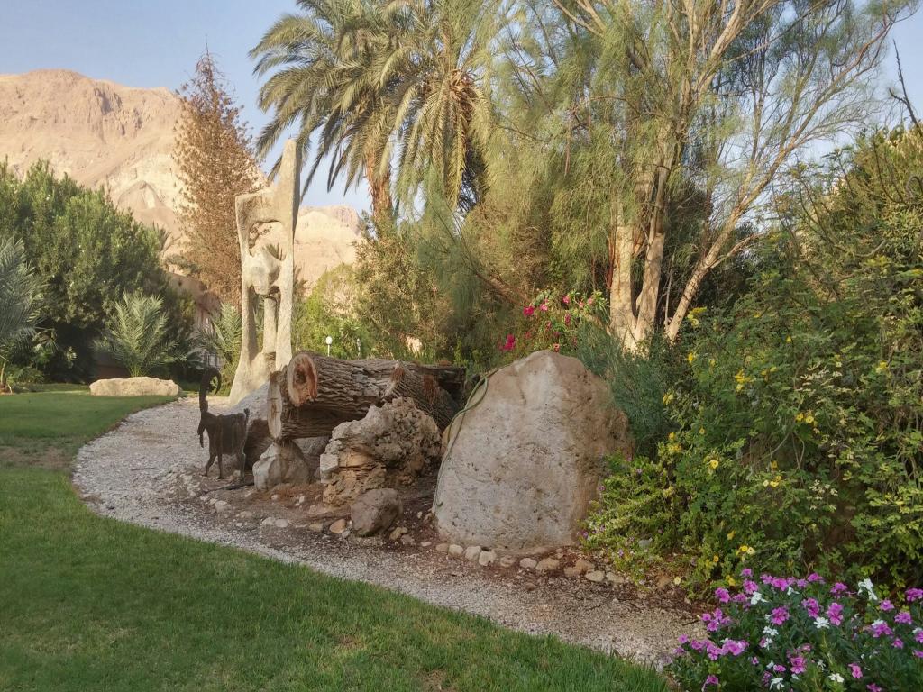 An oasis - Ein Gedi kibbutz