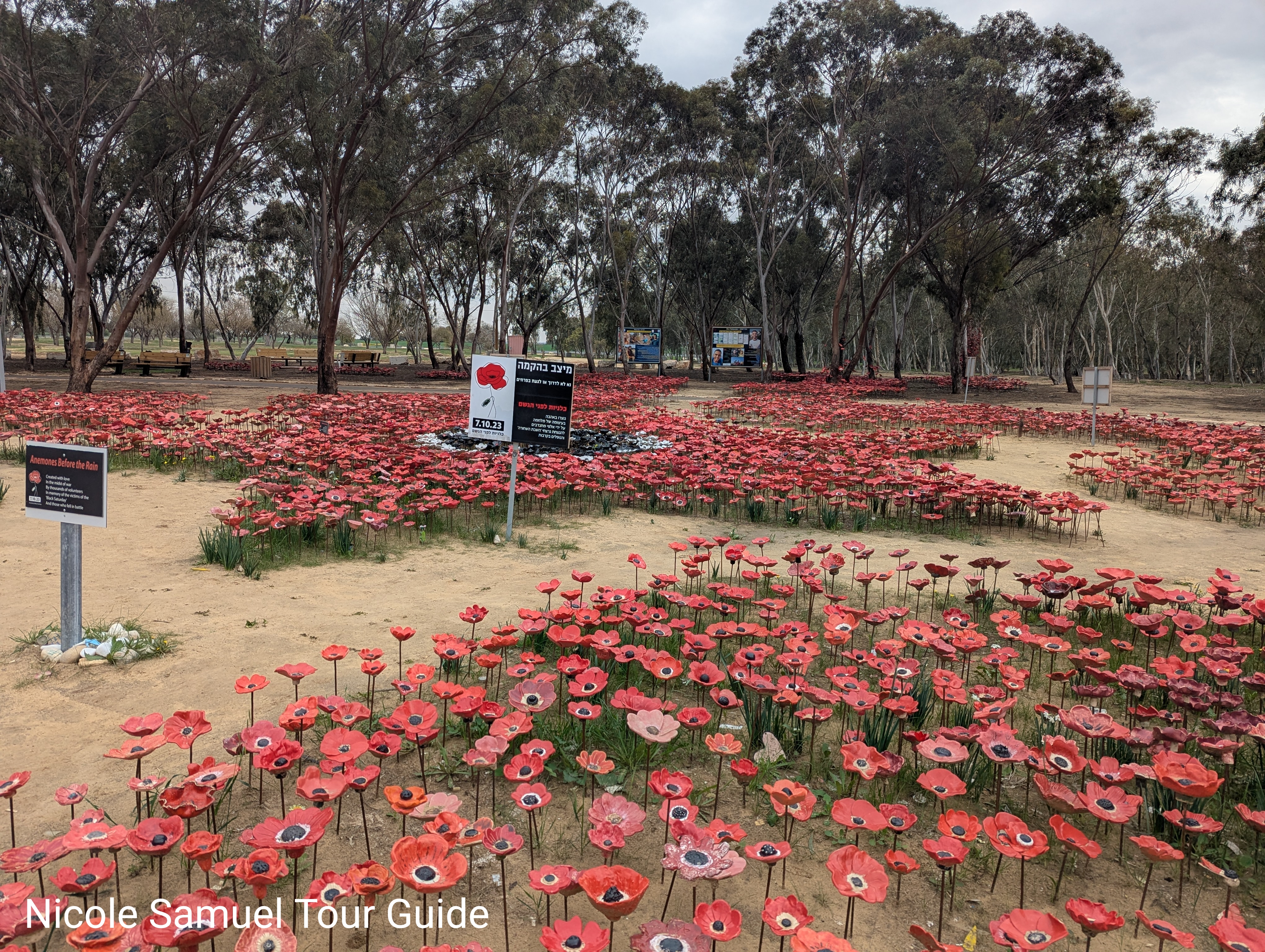 Nova festival sites 
Beautiful flowers symbolizing life for ever.