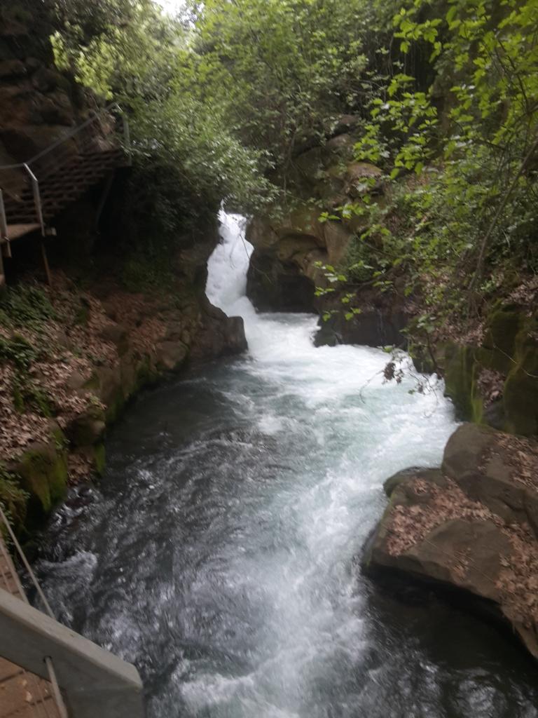 The Banias river Golan Height winter 2015