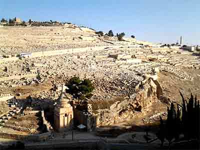 The Mont of Olives and the 
Cedron Valley 2013