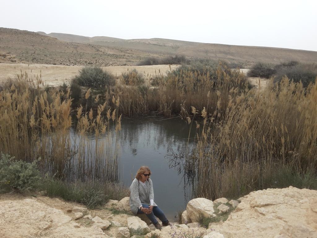 Water pond in the Negev...winter 2015