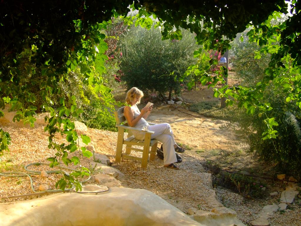Carmey avdat Negev desert
a morning reading - you can only be inspired!